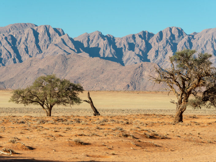 A trip to Namibia