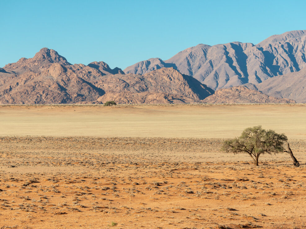 A trip to Namibia